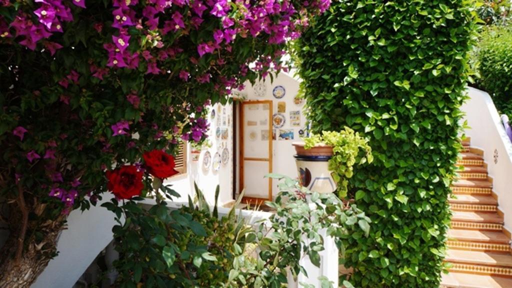 Patio Andaluz Denia Exterior foto